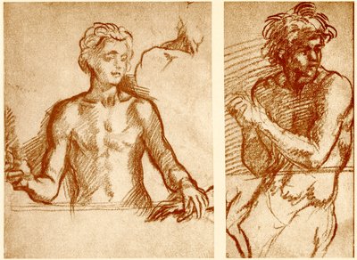 Studien zur Figur Christi von Andrea del Sarto