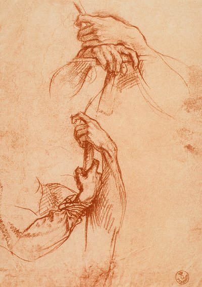 Studie von Händen von Andrea del Sarto