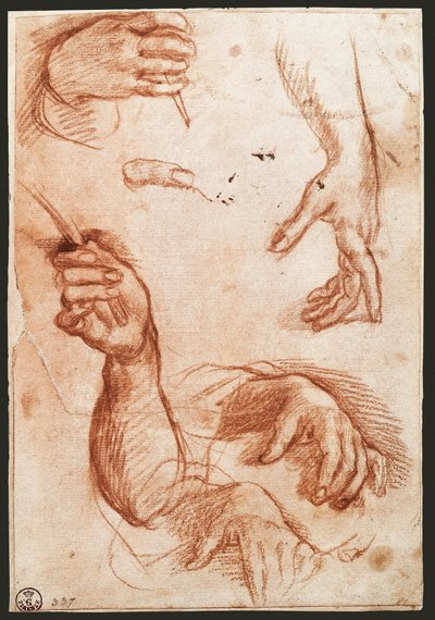 Studie von Händen von Andrea del Sarto