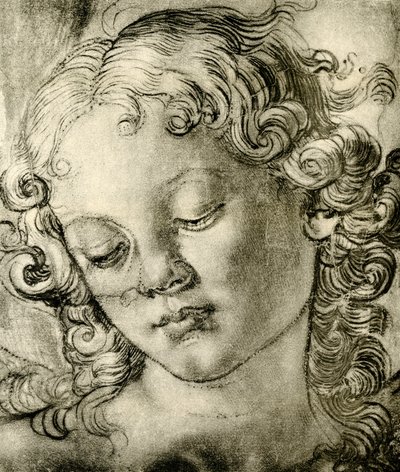 Engelskopf von Andrea del Verrocchio