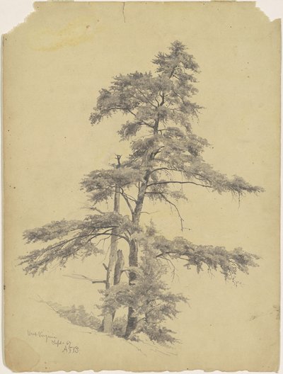 Bäume, West Virginia von Andrew Fisher Bunner