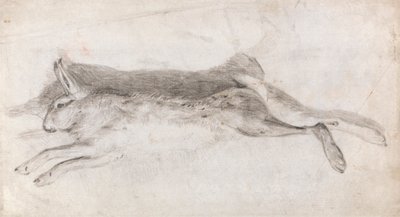 Toter Hase von Andrew Geddes