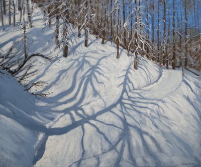 Tannenschatten, Tignes, 2009 von Andrew Macara