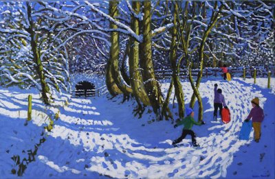 Schlittenfahren, Calke Abbey von Andrew Macara