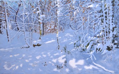 November Schnee, Allestree Woods, Derby von Andrew Macara