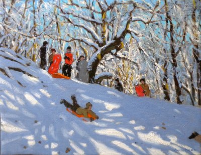Schlittenfahren von Andrew Macara