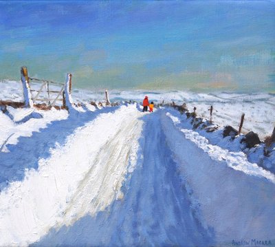Schneepflugstraße, Derbyshire Peak District von Andrew Macara