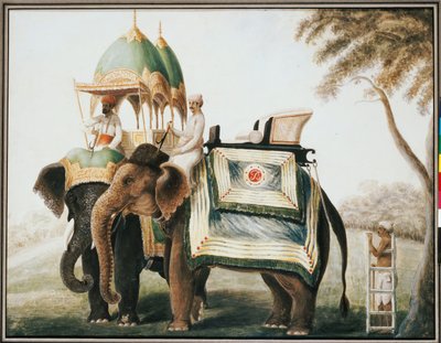 Elefanten mit ihrem Mahout, ca. 1815 von Anglo Indian School