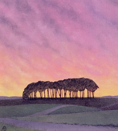 Ferne Kiefern von Anna Phillips