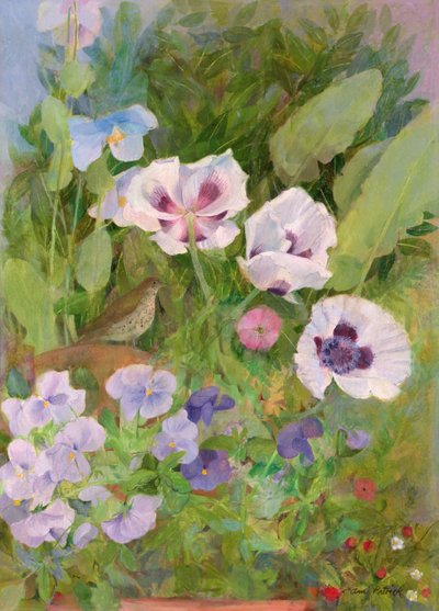 Singdrossel von Ann Patrick