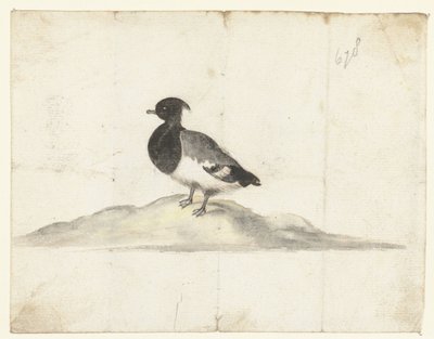 Reiherente von Anna Cornelia Moda