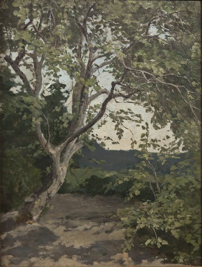 Eine Baumstudie von Anna Nordlander