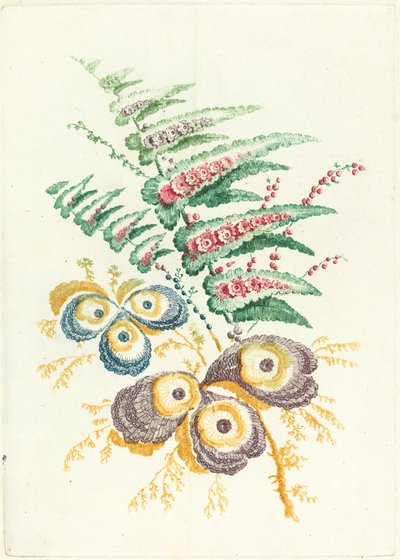Fantastische Blumen mit Austernschalenblüten, ca. 1795 von Anne Allen