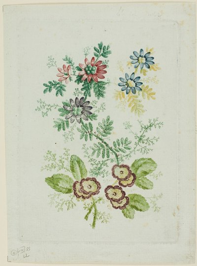 Blumen von Anne Allen