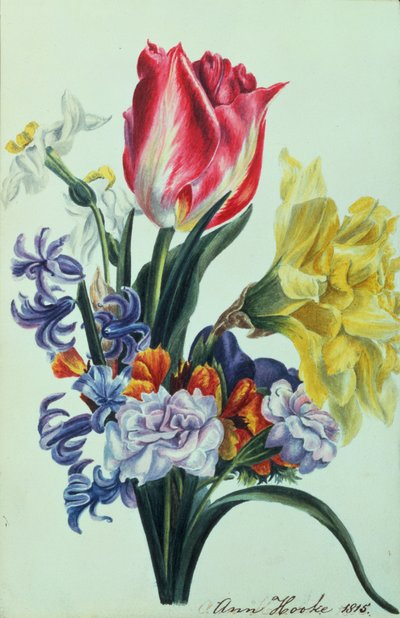 Frühlingsblumen, 1815 von Anne Hooke