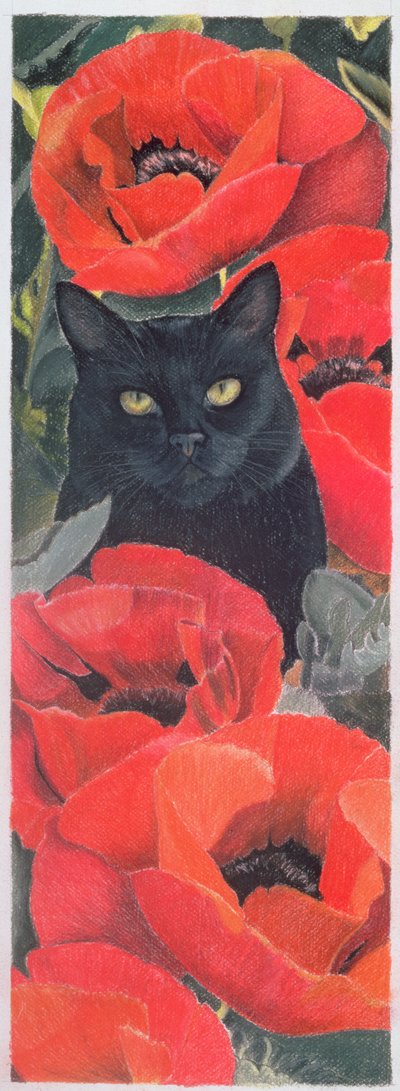 Schwarze Katze mit Mohnblumen von Anne Robinson