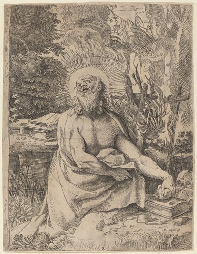 Der heilige Hieronymus in der Wildnis von Annibale Carracci