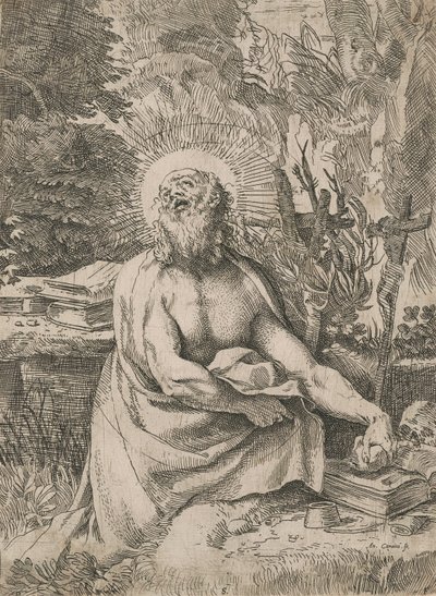 Heiliger Hieronymus in der Wildnis von Annibale Carracci