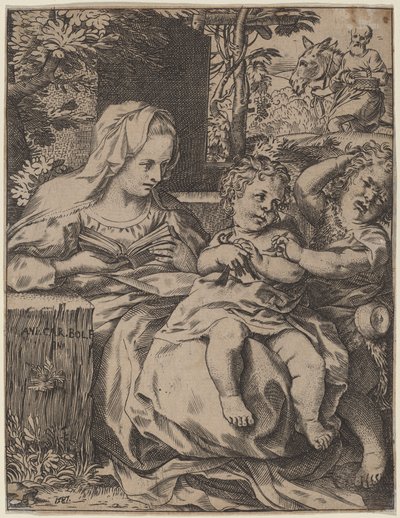 Die Madonna der Schwalbe von Annibale Carracci