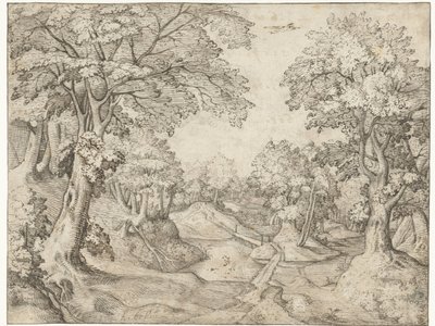 Waldlandschaft mit einem Bach von Anonymous