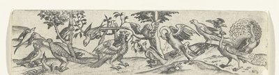 Fries mit Vögeln, darunter Pfau und Pelikan von Anonymous