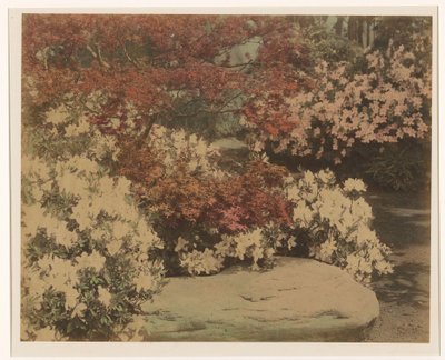 Japanischer Garten mit Blumen von Anonymous