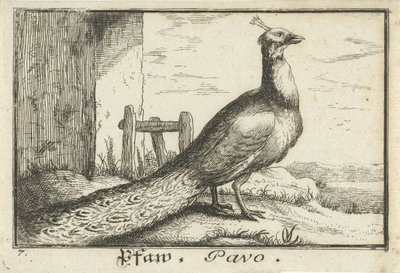 Landschaft mit Pfau von Anonymous