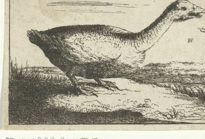 Landschaft mit Wildgans von Anonymous
