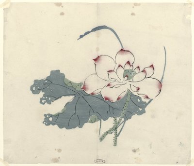 Lotus von Anonymous