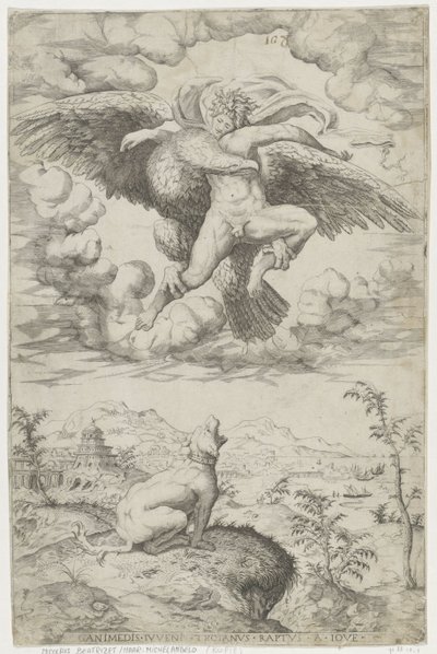 Raub des Ganymedes von Anonymous