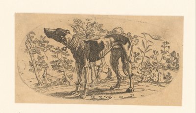 Stehender Hund vor einer Landschaft von Anonymous