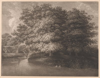 Wassermühle bei einer großen Eiche von Anonymous