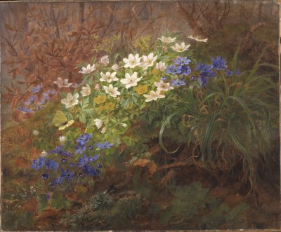 Anemonen von Anthonie Christensen