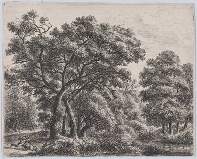 Der Entenjäger, 17. Jahrhundert von Anthonie Waterloo