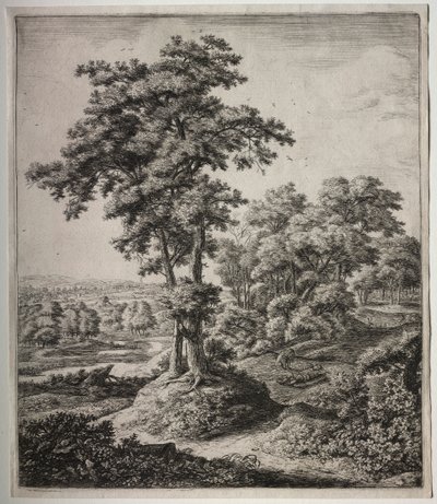 Der Prophet von Juda von Anthonie Waterloo