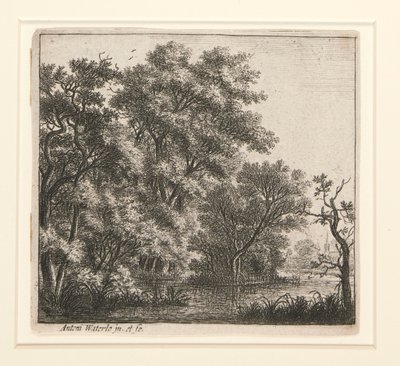 Die bewaldete Insel von Anthonie Waterloo