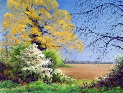 Schlehenwinter, 2003 von Anthony Rule