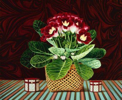 Gloxinia Stillleben von Anthony Southcombe
