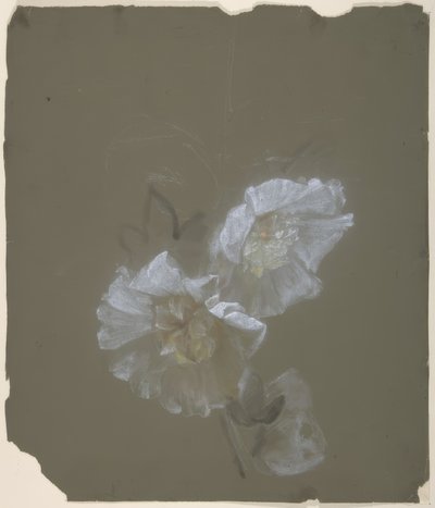 Florales Design von Antoine Berjon