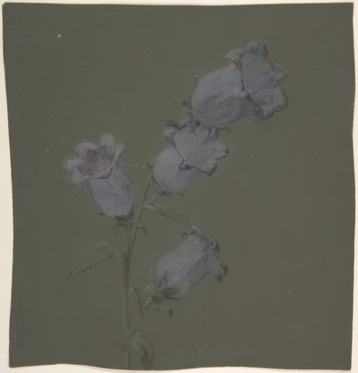 Spray von Canterbury Bells von Antoine Berjon