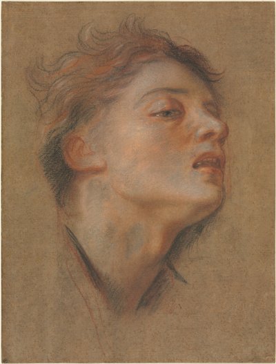 Kopf eines jungen Mannes, 1715-1717 von Antoine Coypel