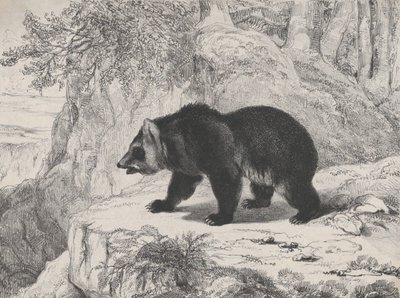 Mississippi-Bär, 1836 von Antoine Louis Barye