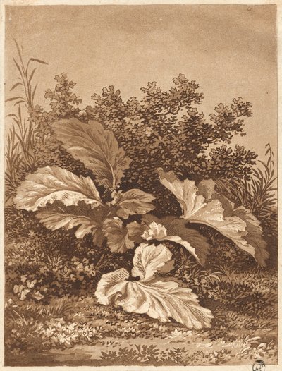 Eine Studie von Blättern, ca. 1800 von Anton Balzer