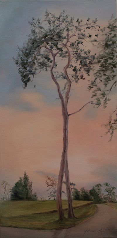 Tapeley Park Bäume, 2013 von Antonia Myatt