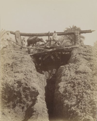 Sehaquieh, Ägypten von Antonio Beato