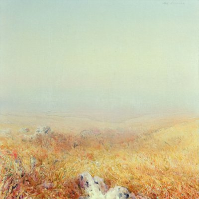 Gargano von Antonio Ciccone