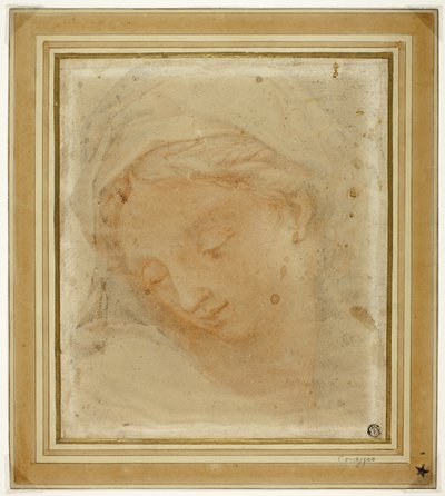 Frauenkopf von Antonio da Correggio
