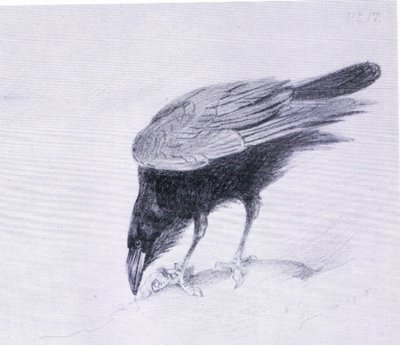 Rabe, veröffentlicht von Book Club Associates von Archibald Thorburn