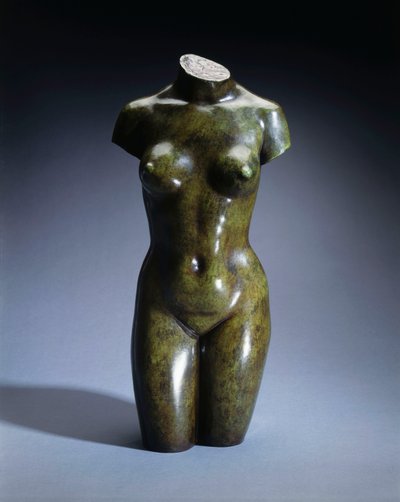 Torso einer jungen Frau von Aristide Maillol