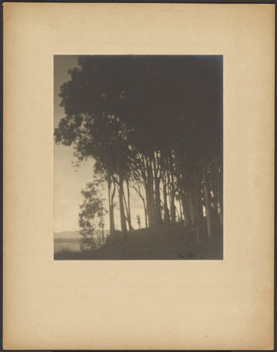 Tanzende Nymphe von Arthur F. Kales